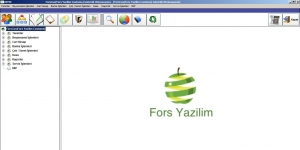 Fors Yazılım ForsCus Gümrük Muhasebe Programı screenshot 1