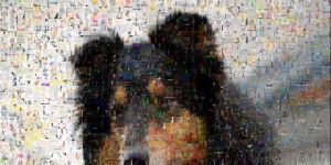Foto-Mosaik-Edda 7.4.16017.1 screenshot 1