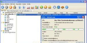 Free Download Manager 3.9.7 screenshot 1