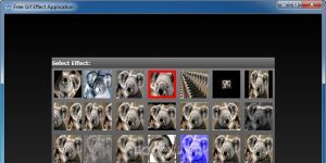 Free Gif Effect 1.0 screenshot 1