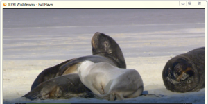 Full Player 8.2 screenshot 1