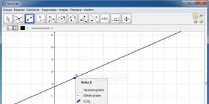 Geogebra 5.0.261.0 Ücretsiz Türkçe 49 MB screenshot 1