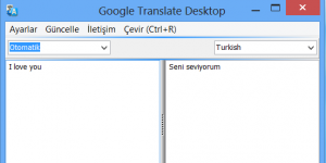 Google Translate Desktop - Google Çeviri Programı 1.0 screenshot 1