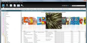 Helium Music Manager 12.1 screenshot 1