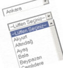 İller ve İlçeler Listesi Veri Tabanı 1.0 screenshot 1