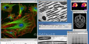 ImageJ 2.1.4.7 p1 screenshot 1