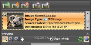 ImBatch 4.9.1 Ücretsiz İngilizce 14.4 MB screenshot 1