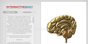 Interactive Body 1.0 screenshot 1