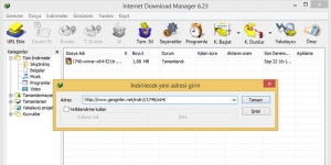 Internet Download Manager... Deneme Türkçe 6.5 MB screenshot 1