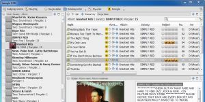 Jaangle 0.98i.977 screenshot 1