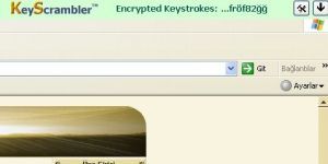 KeyScrambler Personal 3.9.0.0 screenshot 1