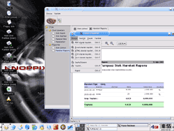 Knoppix Linux Live DVD screenshot 1