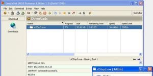 Leechget 2009 2.1 screenshot 1