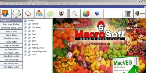 MacroSoft MacVeg Hal Programı screenshot 1