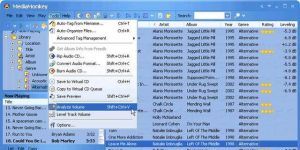 MediaMonkey 4.1.13.1801 Ücretsiz İngilizce 15.3 MB screenshot 1