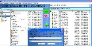 MFD hosting FTP programı 1 screenshot 1