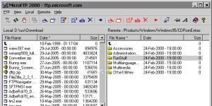 MicroFTP 2000 2.6 screenshot 1