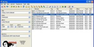 Mp3tag 2.78 Ücretsiz Türkçe 3 MB screenshot 1