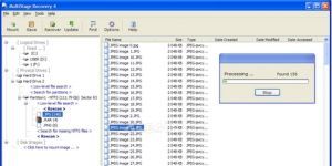 Multistage Recovery 4.4 screenshot 1