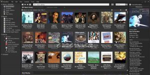 MusicBee 3.0.5995 screenshot 1