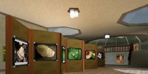 My Pictures 3D Album 1.0 ß screenshot 1