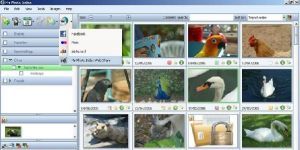 MyPhotoIndex 1.24.3552 screenshot 1