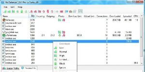 NetBalancer 9.6.2 screenshot 1