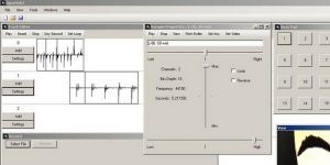 OpenSebJ 0.43 screenshot 1