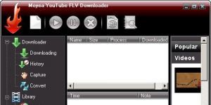 Pavtube YouTube FLV Downloader Pro 1.3.1 screenshot 1
