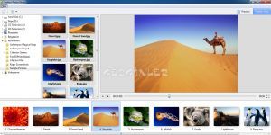Perfect Photo Show 1.0 screenshot 1