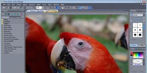 Photo-Brush 5.30 screenshot 1