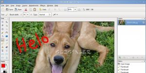 Pinta 1.5 screenshot 1
