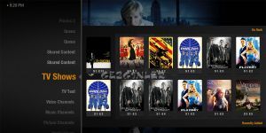 Plex Home Theater 1.4.0.459 screenshot 1