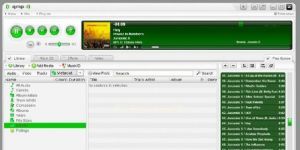 QMP Quintessential Player 5.0.121 screenshot 1