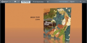 RealPlayer Cloud 17.0.15.10 screenshot 1