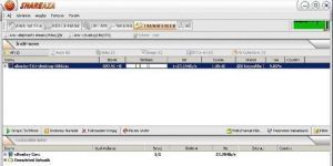 Shareaza 2.7.9.0 screenshot 1