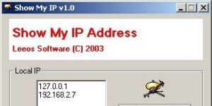 Show My Ip 1.06 screenshot 1