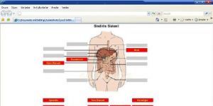 Sindirim sistemi 1 screenshot 1