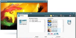 SolveigMM AVI + MKV Trimmer 5.0.1509.11 screenshot 1