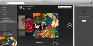 Spotify 1.0.33.106 Ücretsiz Türkçe 340 KB screenshot 1