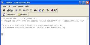 SSH Secure Shell 3.2.9 screenshot 1
