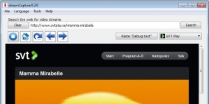 streamCapture 0.3.3 screenshot 1