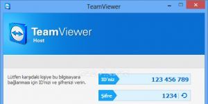 TeamViewer Host 11.0.63017 Ücretsiz Türkçe 9.4 MB screenshot 1
