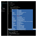 Terminal IDE screenshot 1