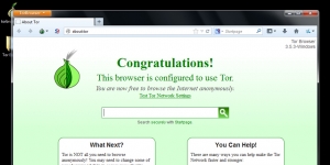 Tor Browser 6.0.1 Ücretsiz Türkçe 47.5 MB screenshot 1