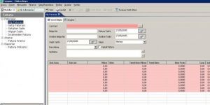 Turquaz Muhasebe Programı 0.8 ß5 screenshot 1