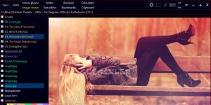 Ubiquitous Player 2016.06.21 Ücretsiz İngilizce 1.3 MB screenshot 1