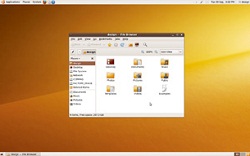 Ubuntu 13.10 screenshot 1