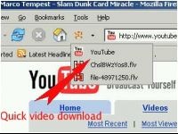 Video DownloadHelper screenshot 1