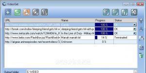 VideoGet 7.0.3.91 screenshot 1
